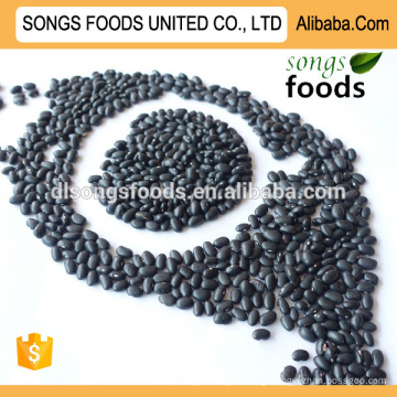 Black Kidney Beans Suppliers